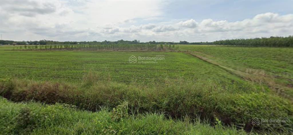 Ngân hàng phát mại đất tại xã long chữ, tây ninh. diện tích 7074,8 m2