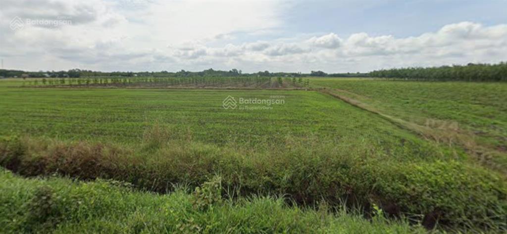 Ngân hàng phát mại đất tại xã long chữ, tây ninh. diện tích 7074,8 m2