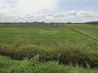 Ngân hàng phát mại đất tại xã long chữ, tây ninh. diện tích 7074,8 m2