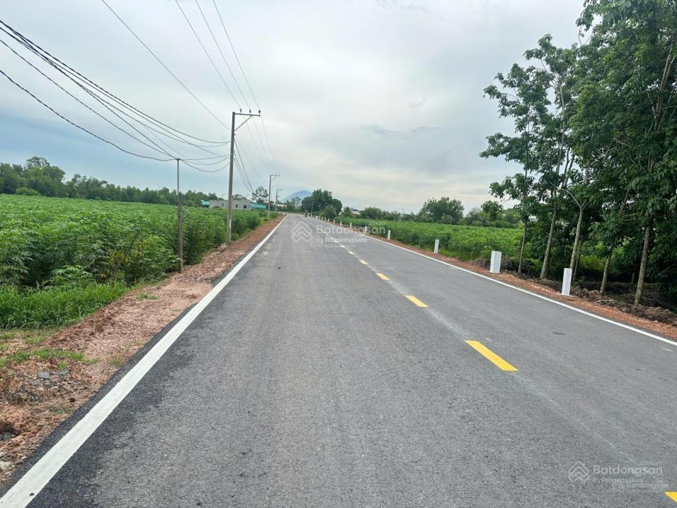 Ngân hàng phát mại đất tại xã long chữ, tây ninh. diện tích 7074,8 m2