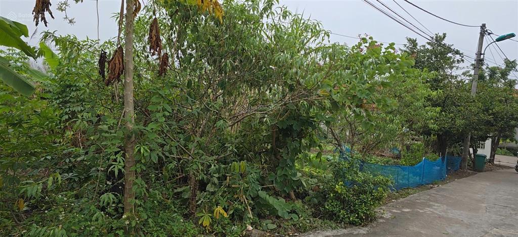 Bán đất 600.8m2 tại xã cẩm hải, giá thỏa thuận, quảng ninh