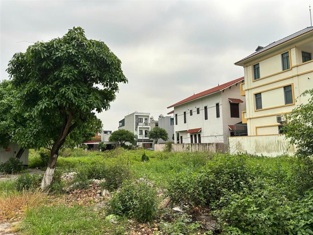 Ngân hàng bán đấu giá đất đẹp tại khu đô thị mới kim sơn, phường đông triều, quảng ninh