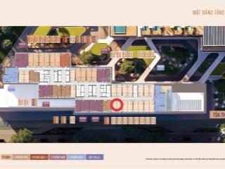 Cần bán căn studio hướng đông , view trọn vịnh ko bị che chắn giá 2.650 tỉ