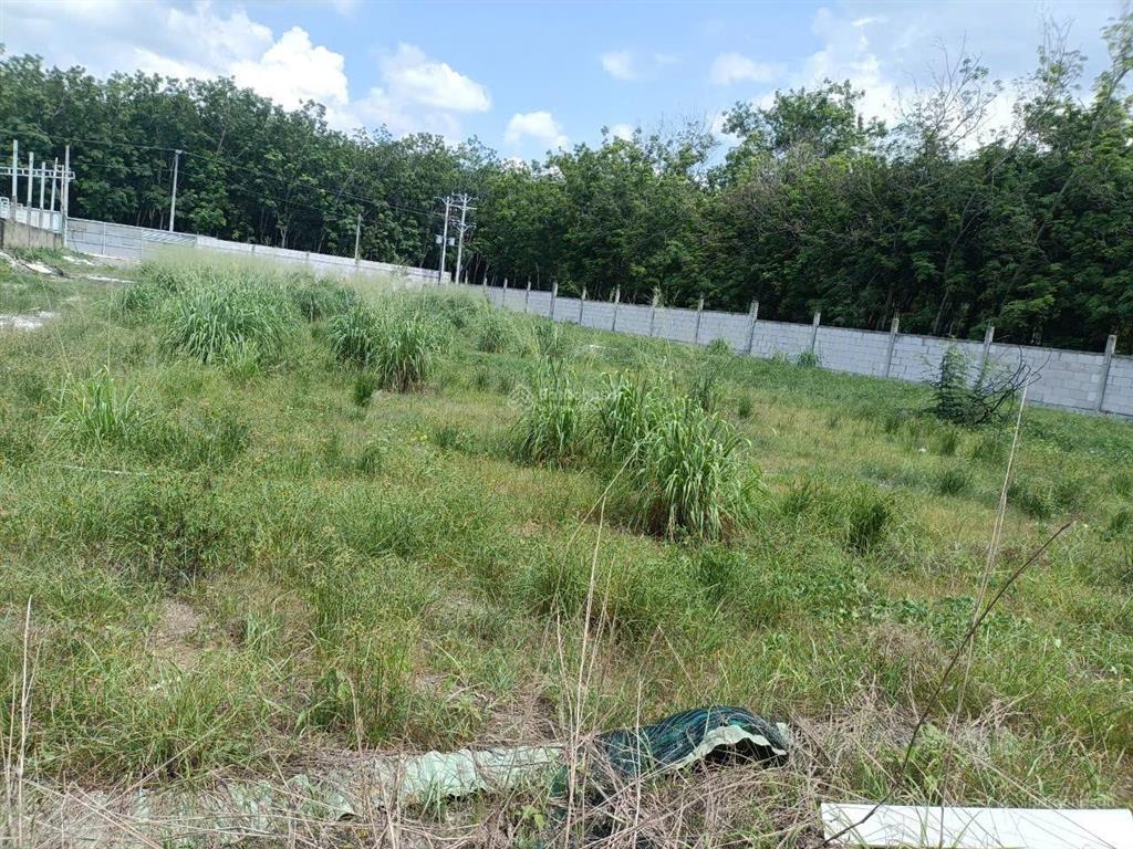 Chính chủ rao bán, đất phù hợp nghỉ dưỡng / sản xuất quy mô vừa