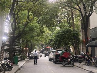Hàng độc! liền kề nguyễn thị thập, 88m2*5 tầng, mt 7m, vỉa hè,ôtô tránh dừng đỗ, kinh doanh sầm uất