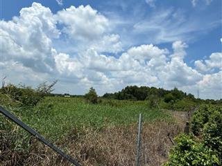 Giảm mạnh còn 4,6 tỷ đất sđr 2389m ngang 17 dài 145  đường 5m  vườn thơm  bình lợi  bình chánh