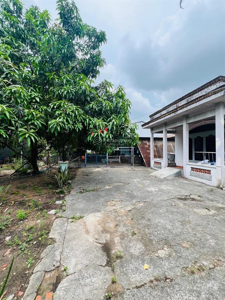Giảm mạnh 5 tỷ bán gấp 419m2 đất odt hxt liên khu 1  6, bình trị đông