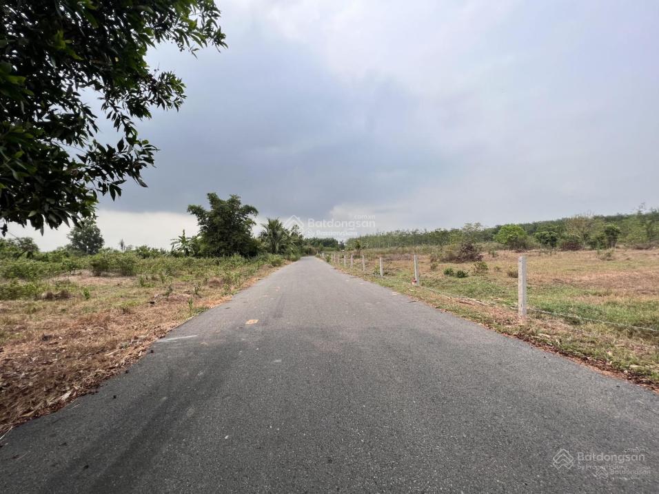 Bán gấp đất ở hòa hội, xuyên mộc, bà rịa vũng tàu, 4,8 tỷ, 737m2