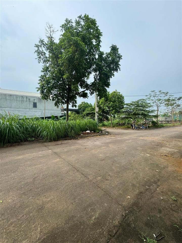 63m2 đất đấu giá cổng ngói, đan phượng đường ô tô tránh ngay giá bán nhanh trong tuần 7x triệu/m2