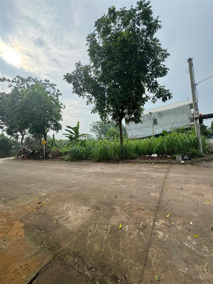 63m2 đất đấu giá cổng ngói, đan phượng đường ô tô tránh ngay giá bán nhanh trong tuần 7x triệu/m2