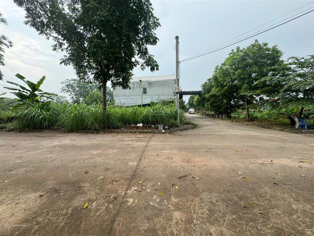 63m2 đất đấu giá cổng ngói, đan phượng đường ô tô tránh ngay giá bán nhanh trong tuần 7x triệu/m2