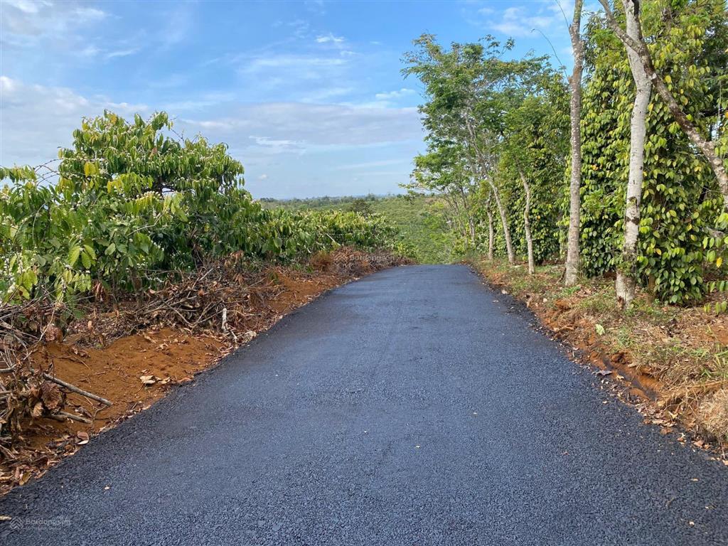 Đất kiến đức , mặt đường nhựa 6x26 full thổ cư giá 295tr cả lô, dân cư đông, cách ql14 chỉ 2,5km