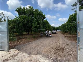 Bán 150m2 đất sát long khánh,cách quốc lộc 1a chỉ 500m. đường ô tô rộng, khu dân cư đông chỉ 210 tr