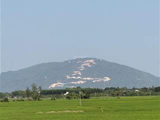 Bán 1 mẫu 9 đất,đã trồng tràm,xuân lộc,đồng nai, đất thịt thích hợp trồng cà phê,tiêu,sầu riêng