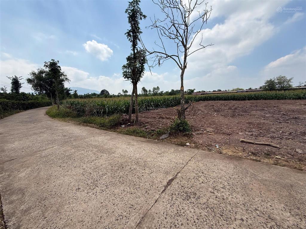 Bán nền đất thổ cư 120m2 đường ô tô thông phường xuân lộc, tp đồng nai. gần núi chứa chan