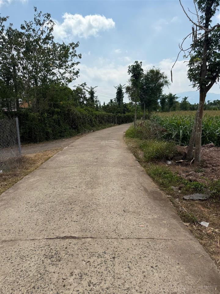 Bán nền đất thổ cư 120m2 đường ô tô thông phường xuân lộc, tp đồng nai. gần núi chứa chan