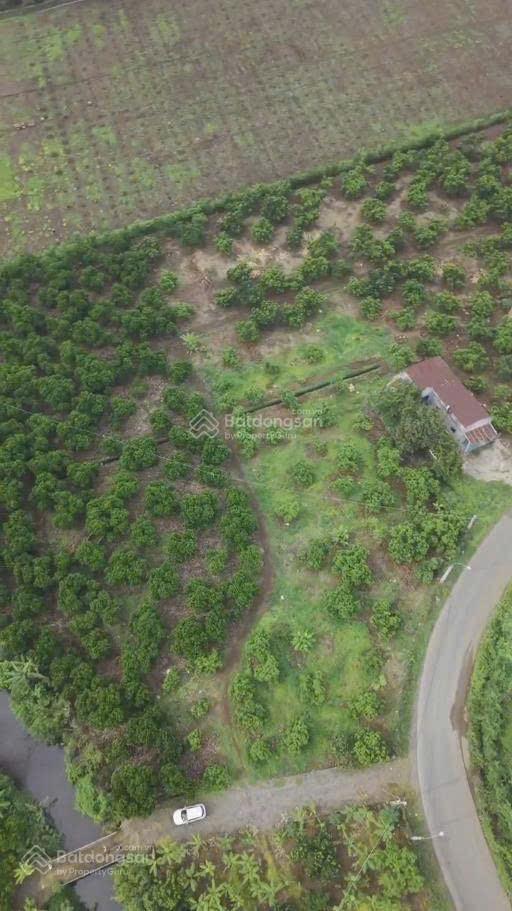 Bán 7500m2 đất ở đô thị 100% có sẵn 300m2 thổ, bình lộc, đồng nai, 866tr/1 sào mặt tiền đường nhựa