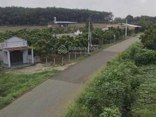 Bán 7500m2 đất ở đô thị 100% có sẵn 300m2 thổ, bình lộc, đồng nai, 866tr/1 sào mặt tiền đường nhựa