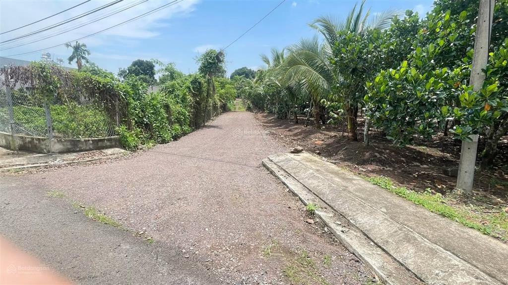 Bán đất đẹp tại hàm nghi, bảo vinh, 730 triệu, 88m2, mặt tiền 5.5m, pháp lý đầy đủ