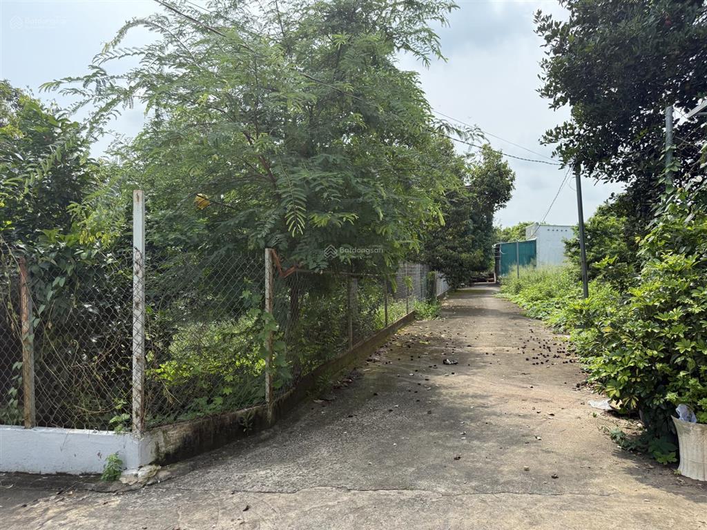 Bán đất duy tân bảo vinh đồng nai gần uỷ ban phường bảo vinh 127m2 full thổ cư trả trước 300tr