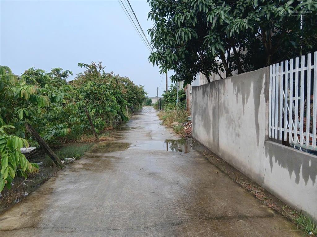 Bán đất nền thổ cư sổ riêng 294m2(10mx29,4m), xã xuân phú, đồng nai gần núi chứa chan chợ lang minh