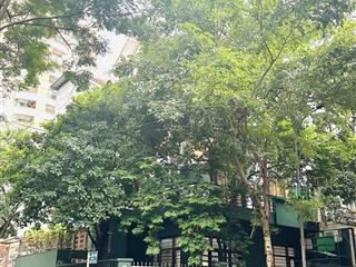 Hạ chào sốc, biệt thự lô góclưu hữu phước nam từ liêm kinh doanh view vườn hoa, 160m x 15m, 4t