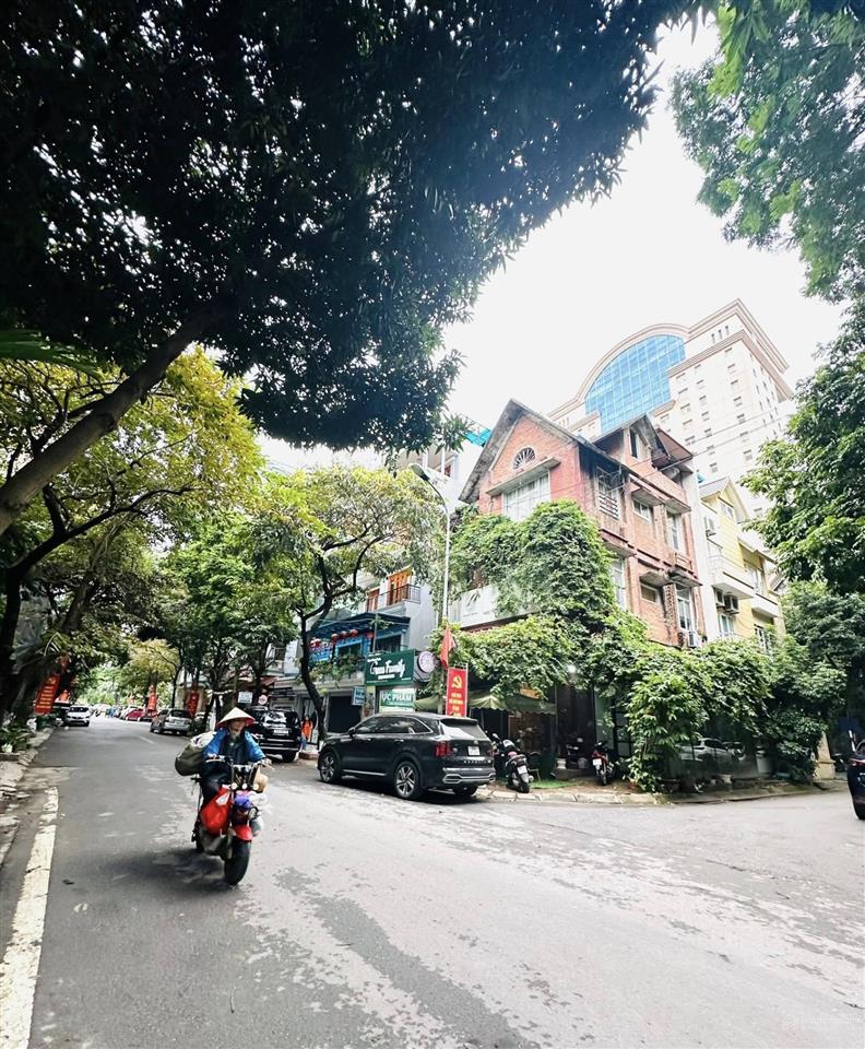 Hạ chào sốc, biệt thự lô góclưu hữu phước nam từ liêm kinh doanh view vườn hoa, 160m x 15m, 4t
