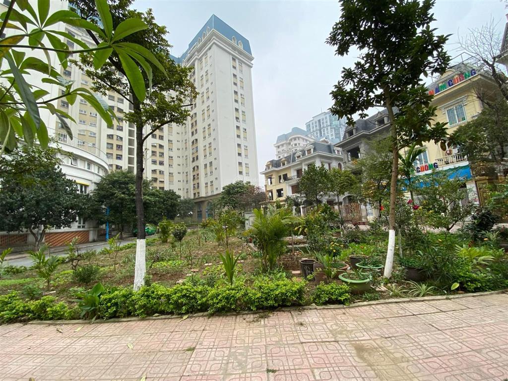 Cần bán gấp biệt thự mỹ đình, 2 thoáng, 195m2, 5 tầng, mt 10m, có sân vườn, hơn 6x tỷ