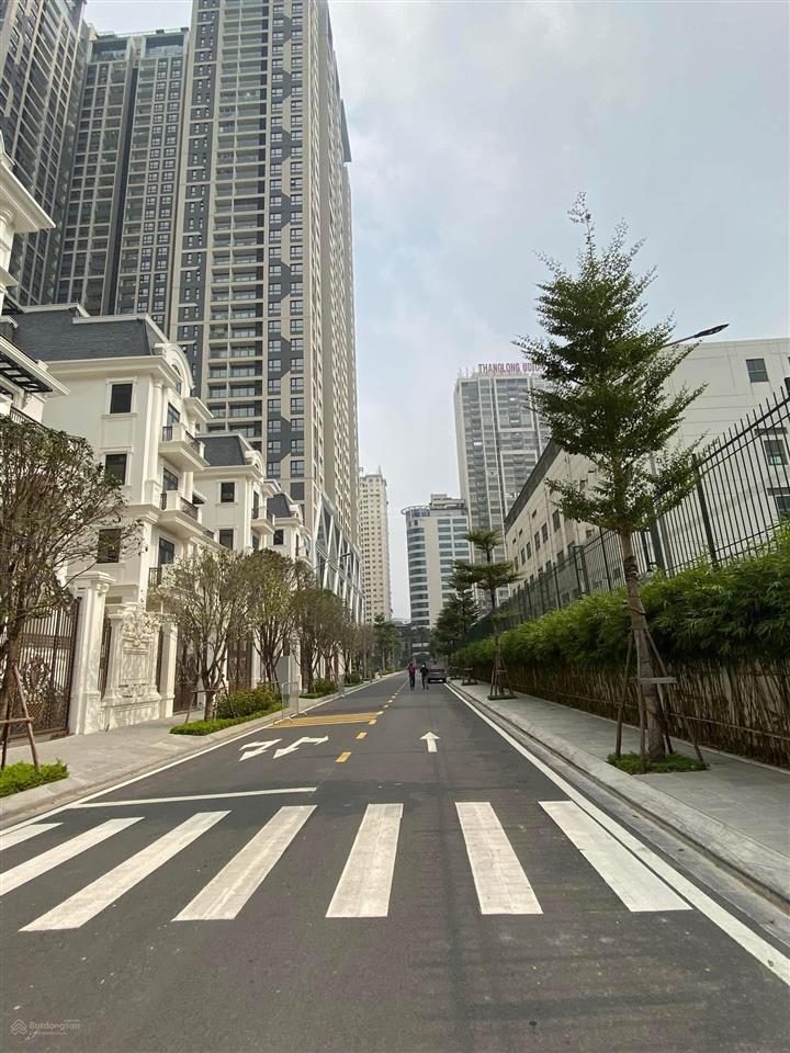 Hiếm, duy nhất căn biệt thự 200m, bùi xuân phái, lưu hữu phước, hơn 50 tỷ, 0963 060 ***