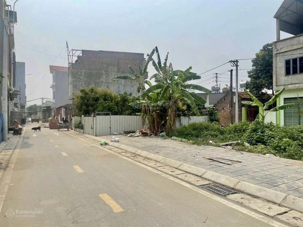 Đất tàm xá rất hiếm  giữa vin tàm xá và vin cổ loa