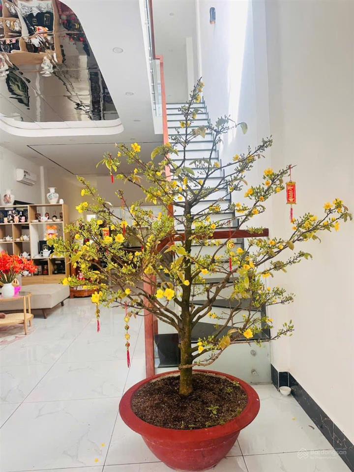 Nhà cho thuê full nội thất tại trung tâm bến lức ( 0763 944 *** bảo yến)