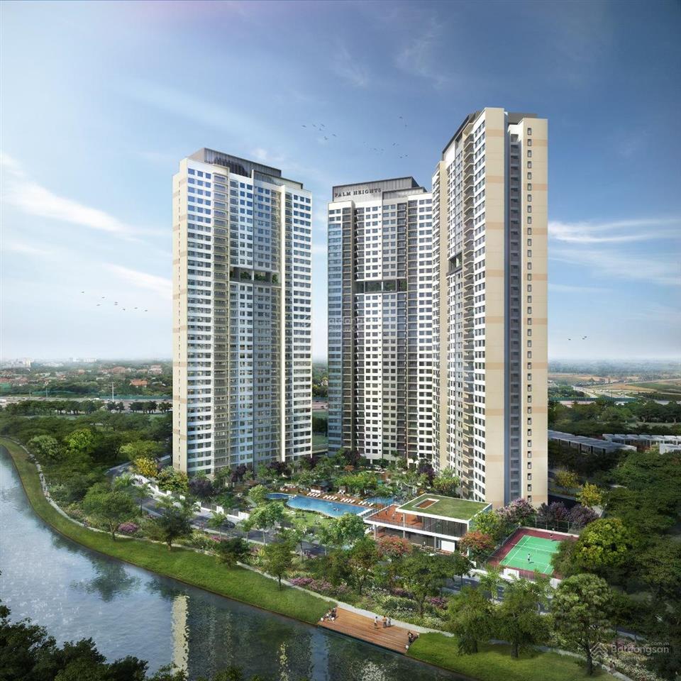 Chuyên bán palm heights tổng hợp rổ hàng đầy đủ từ căn nhỏ đến căn lớn giá rẻ nhất thị trường