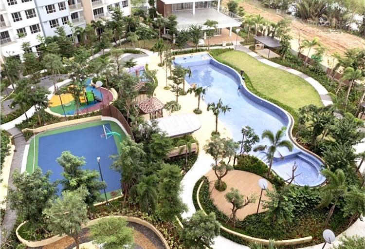 Chuyên bán palm heights tổng hợp rổ hàng đầy đủ từ căn nhỏ đến căn lớn giá rẻ nhất thị trường