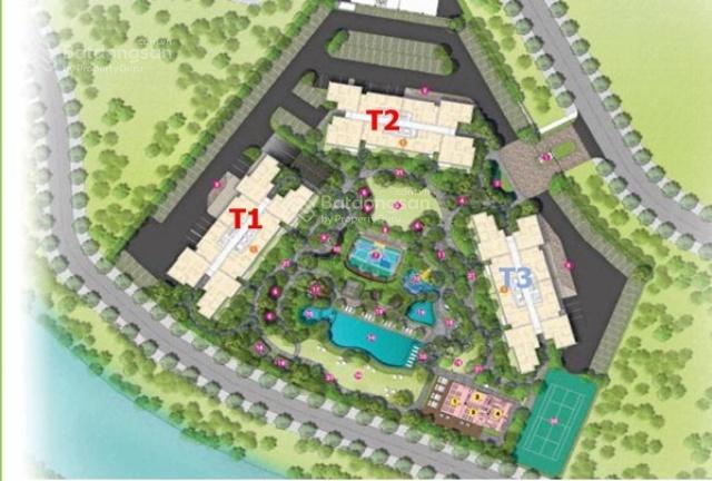 Chuyên bán palm heights tổng hợp rổ hàng đầy đủ từ căn nhỏ đến căn lớn giá rẻ nhất thị trường
