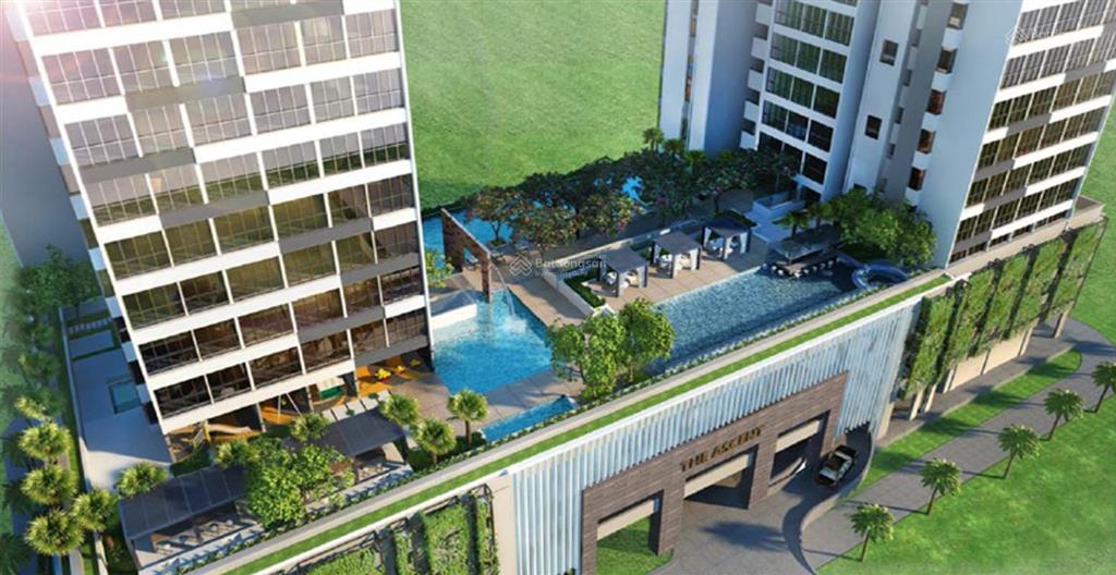 Chuyên bán the ascent  tổng hợp 15 căn các loại từ nhỏ đến lớn giá tốt nhất 3pn từ 6.3 tỷ  11 tỷ