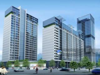 Chuyên thuê petrovietnam landmark  tổng hợp full rổ hàng với giá thuê tốt 101m215tr 150m219tr