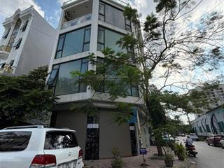 Cho thuê nhà gần vòng xuyến sao khuê, võ cường