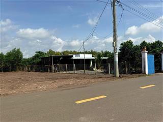 Bán gấp đất tại an phước, ngay kcn long thành, đồng nai, giá 1,15 tỷ, dt 138 m2