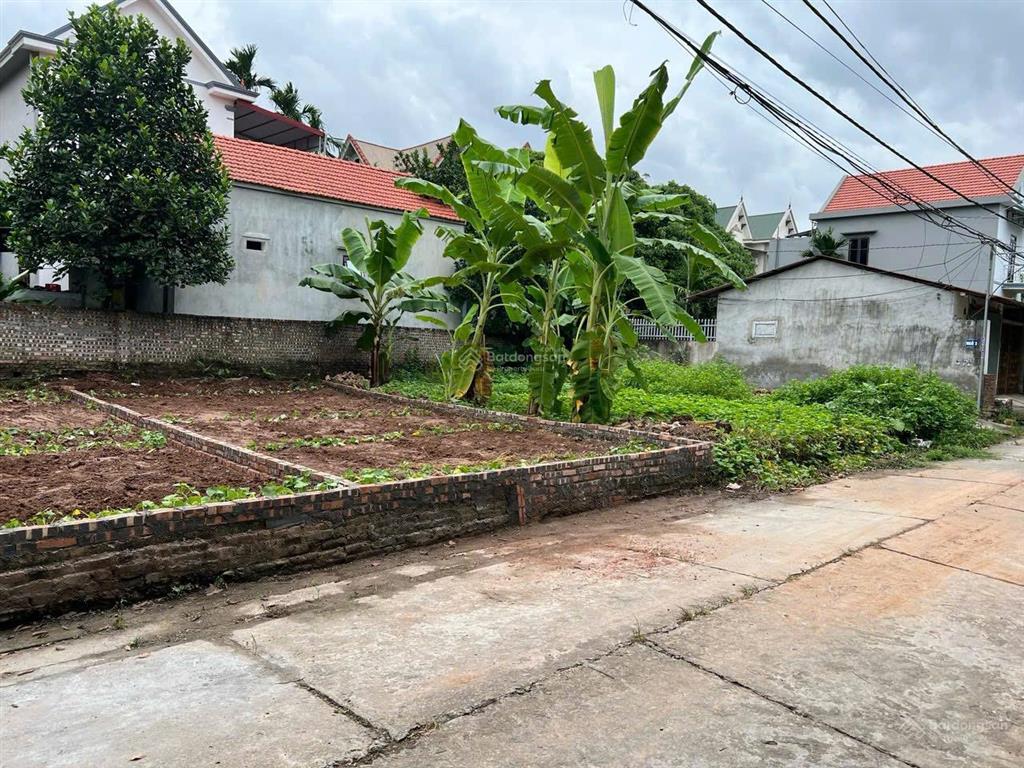 Chính chủ bán mảnh đất mặt trục chính thôn duyên yết xã hồng thái. kinh doanh giá 1.9 tỷ