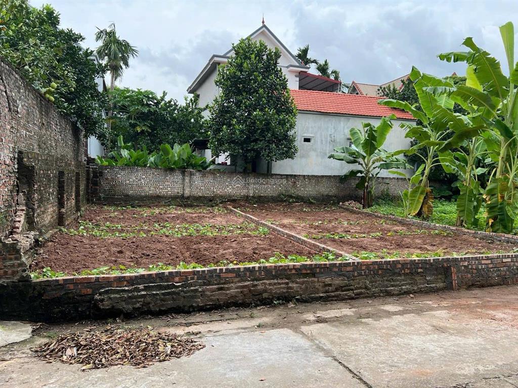 Chính chủ bán mảnh đất mặt trục chính thôn duyên yết xã hồng thái. kinh doanh giá 1.9 tỷ