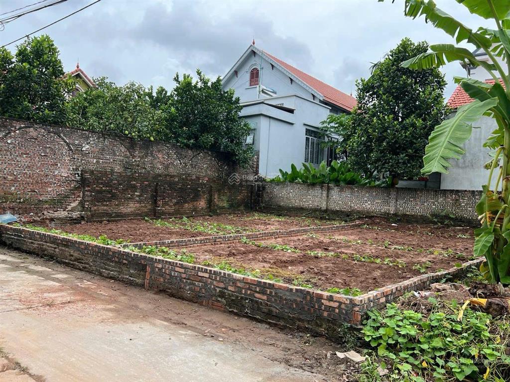 Chính chủ bán mảnh đất mặt trục chính thôn duyên yết xã hồng thái. kinh doanh giá 1.9 tỷ