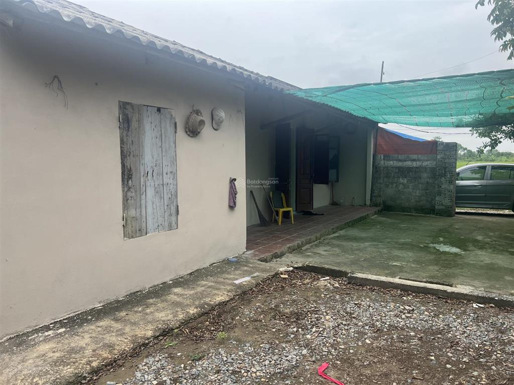 Chính chủ cho thuê trang trại cực đẹp 1500m2 tại thường tín  hà nội.  0832 932 ***
