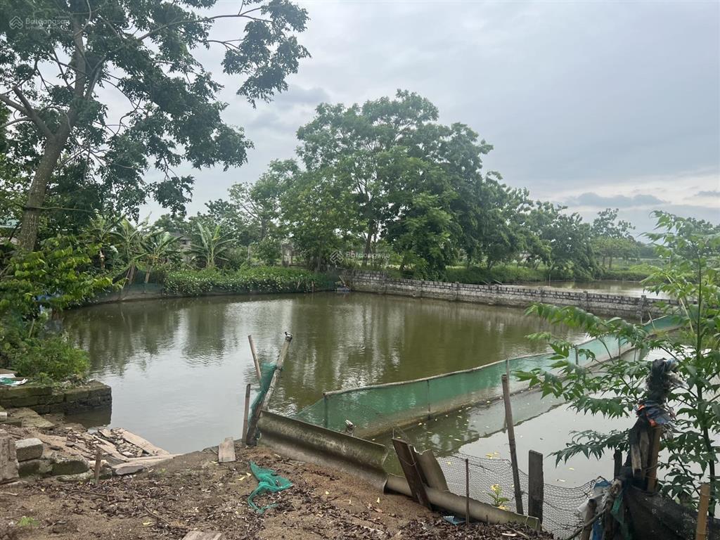 Chính chủ cho thuê trang trại cực đẹp 1500m2 tại thường tín  hà nội.  0832 932 ***