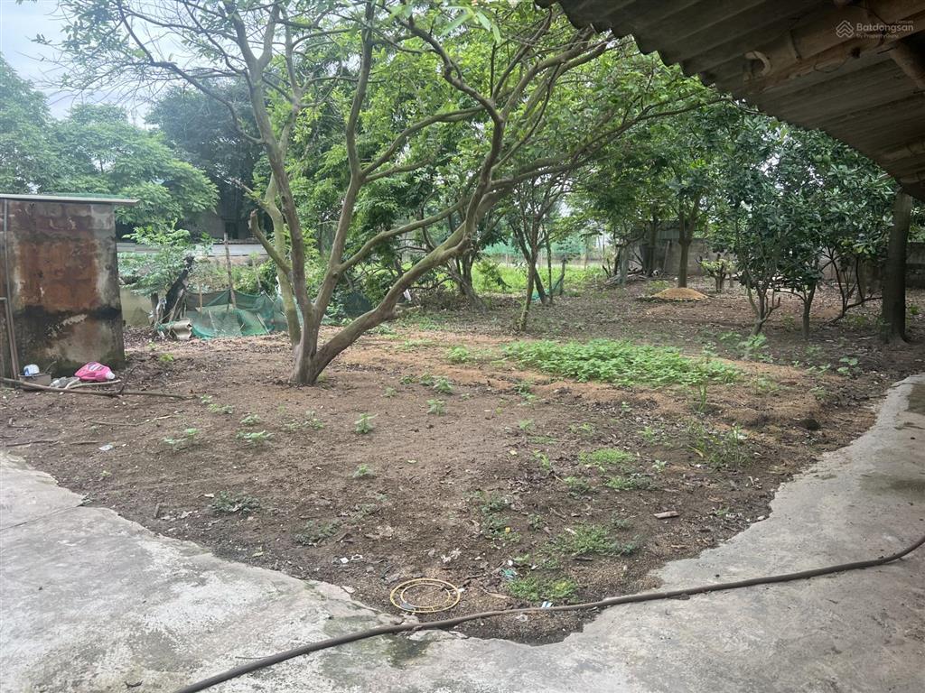 Chính chủ cho thuê trang trại cực đẹp 1500m2 tại thường tín  hà nội.  0832 932 ***