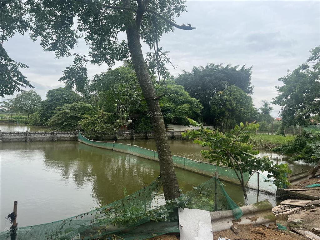 Chính chủ cho thuê trang trại cực đẹp 1500m2 tại thường tín  hà nội.  0832 932 ***