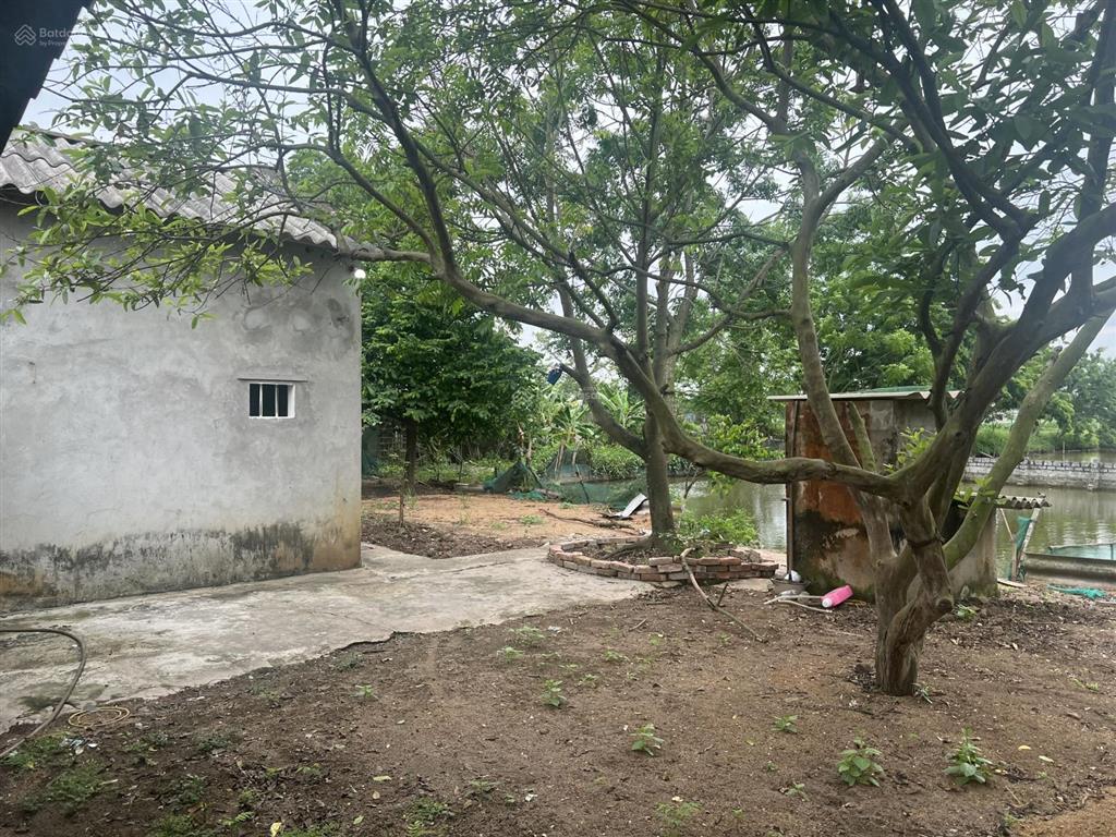 Chính chủ cho thuê trang trại cực đẹp 1500m2 tại thường tín  hà nội.  0832 932 ***