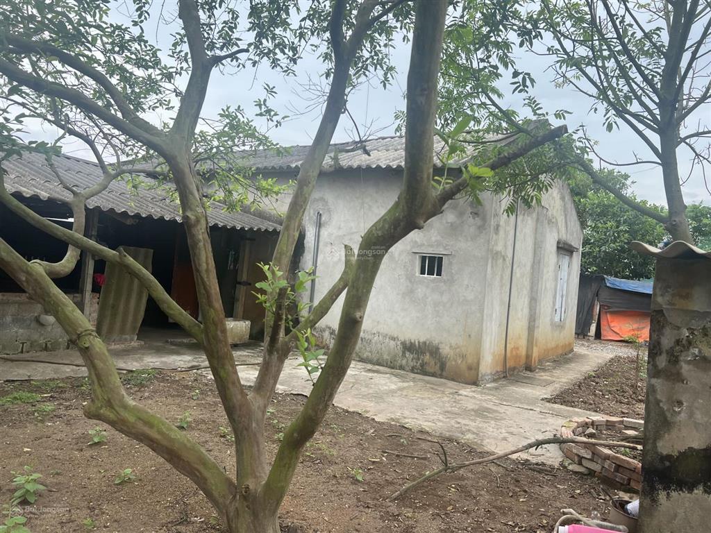 Chính chủ cho thuê trang trại cực đẹp 1500m2 tại thường tín  hà nội.  0832 932 ***
