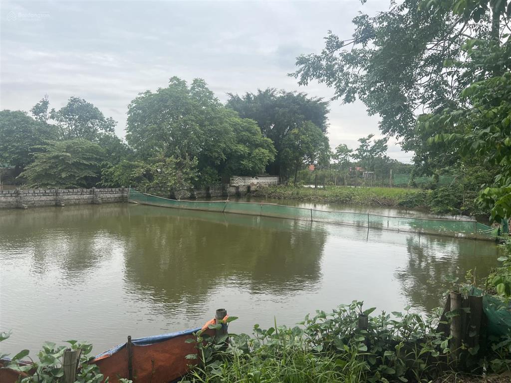 Chính chủ cho thuê trang trại cực đẹp 1500m2 tại thường tín  hà nội.  0832 932 ***