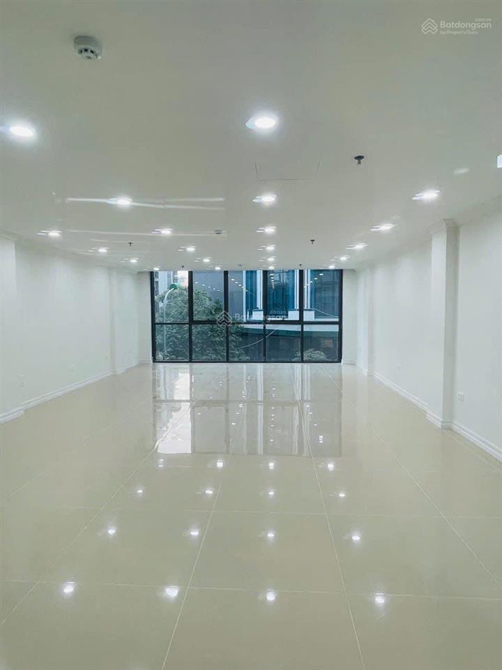 Bán gấp, phân lô mỹ đình 2, 85m, 9 tầng, 2 mặt thoáng, thang máy, kinh doanh, giá nhỉnh 30 tỷ