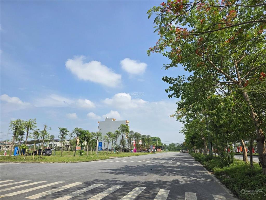 Chính chủ bán đất đấu giá văn lôi, tam đồng, mê linh, 114m, mt5, giá đầu tư. 0903 784 ***
